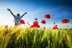 iStock_000023730729XSmall